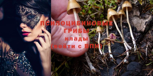 не бодяженный Абдулино