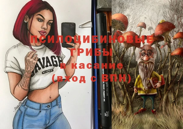 ГАЛЛЮЦИНОГЕННЫЕ ГРИБЫ Абинск
